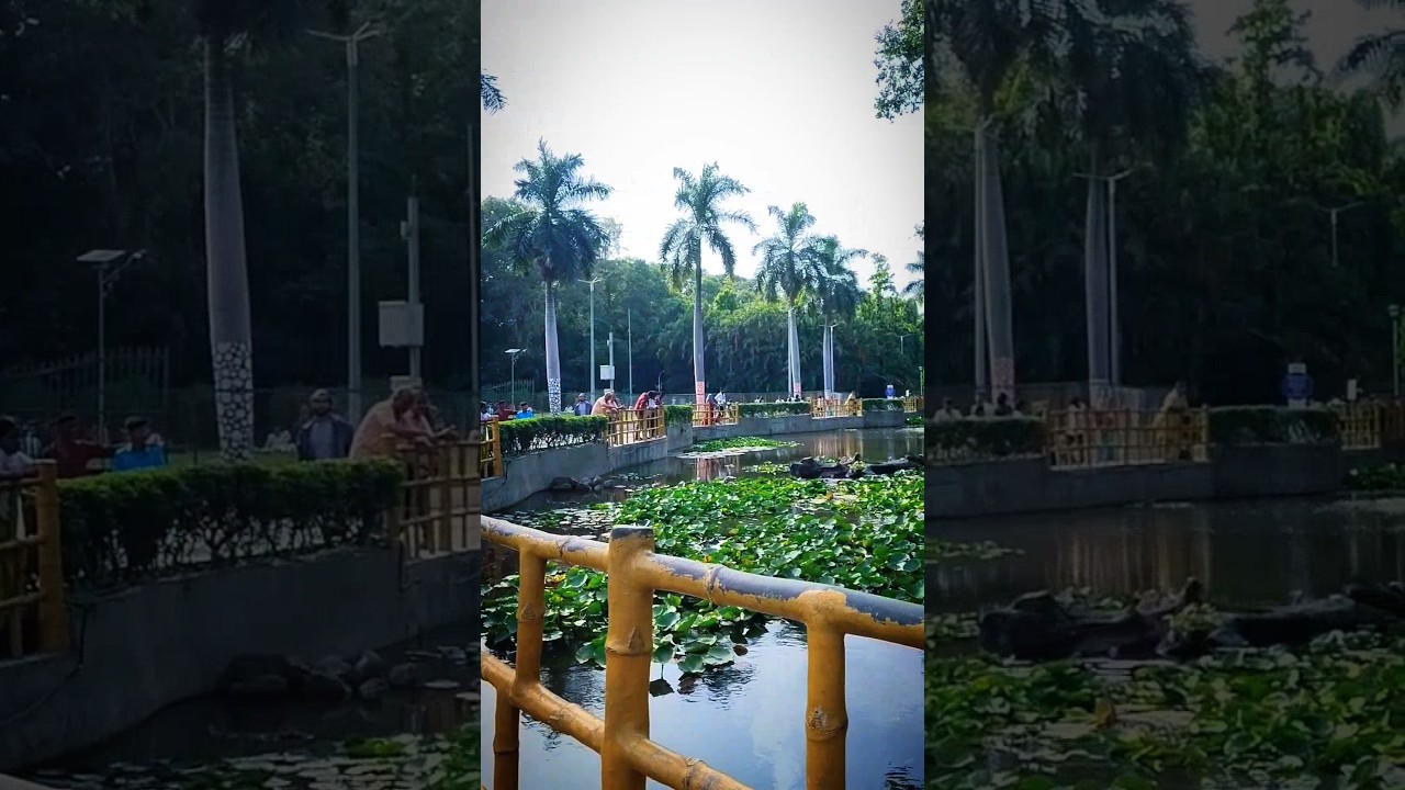 with you | sarasbaug park pune | sarasbaug ganpati mandir #shorts #pune #sarasbaug
