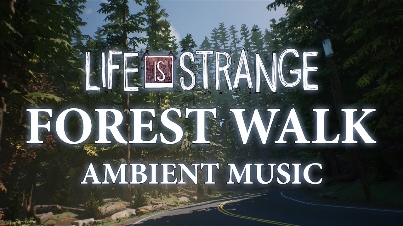 Life Is Strange Ambient Music | Forest Walk - Relaxing, Sleeping, Studying