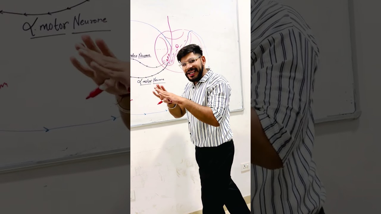 Muscle Tone Explained in 5 Minutes | Mechanics of spasticity | Neurophysiotherapy simplified | Ishan