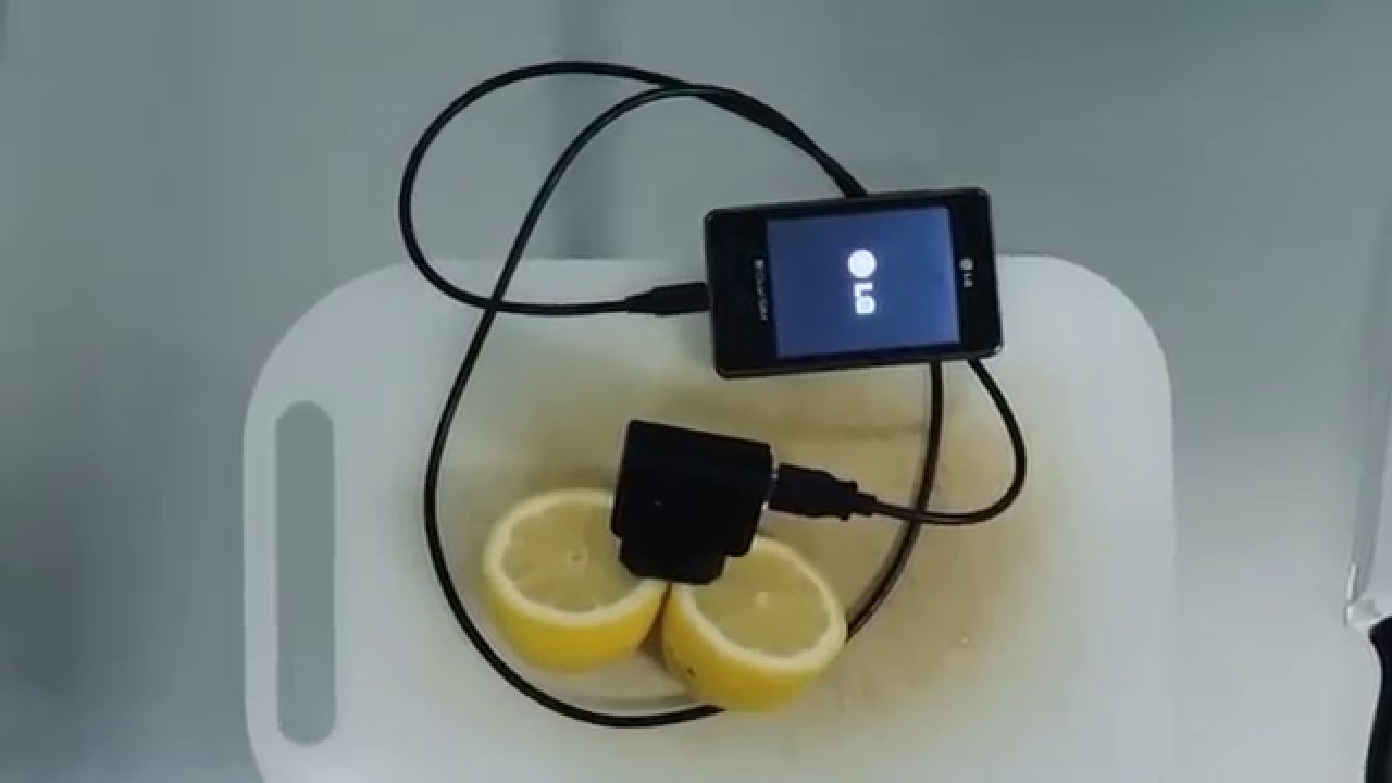 Lemon phone charger || Viral Video UK