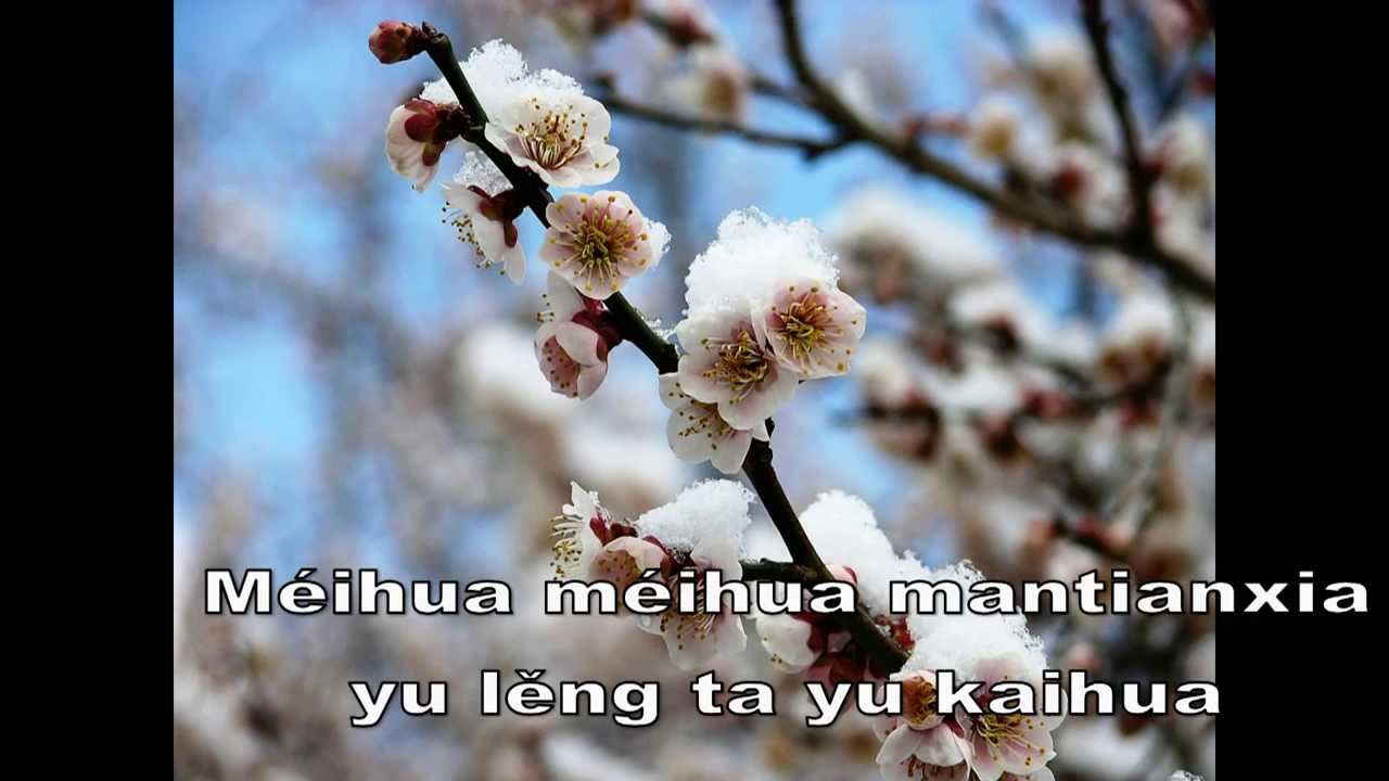 Mei Hua(Plum flower) - Teresa Teng