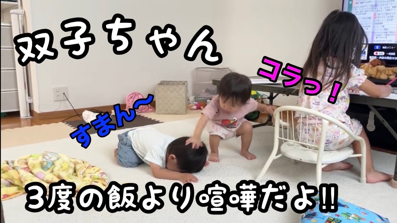 【双子】過去一の喧嘩勃発⁉︎男女双子赤ちゃん、生後１歳６ヶ月の物語👶