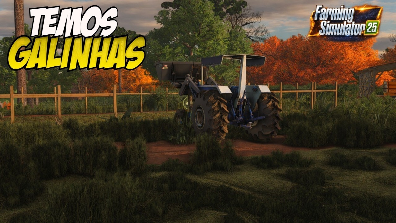 COMPREI TRIGO PARA AS GALINHAS NA FAZENDA |FS25