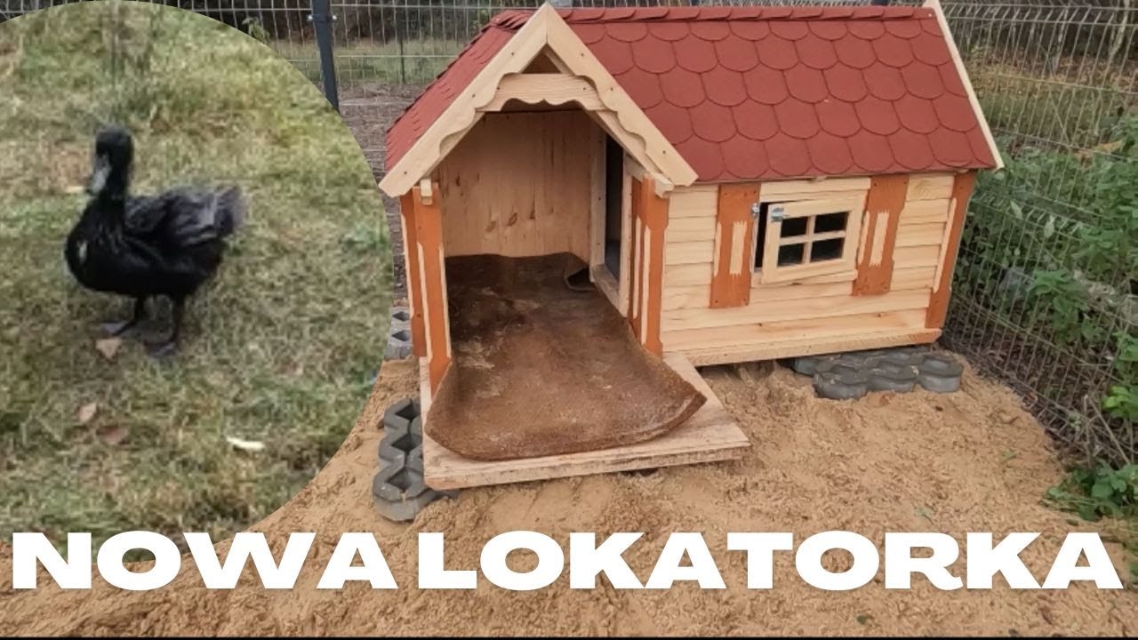 Buda ustawiona