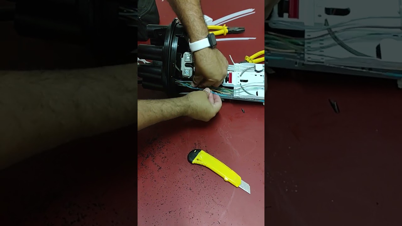 produção em laboratório CEO 144 FO