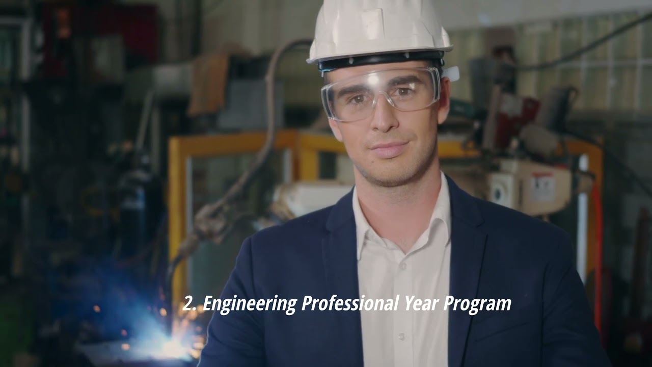 What is a Professional Year Program?
