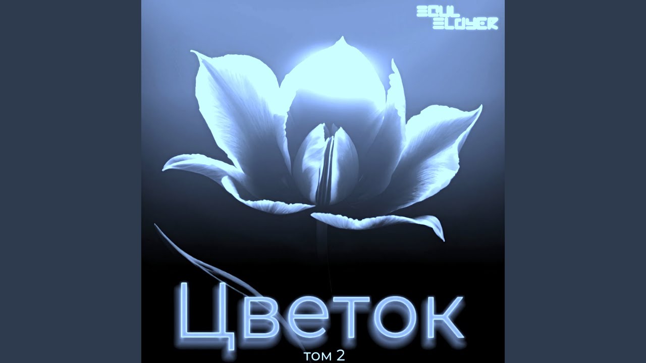 Нетсердца