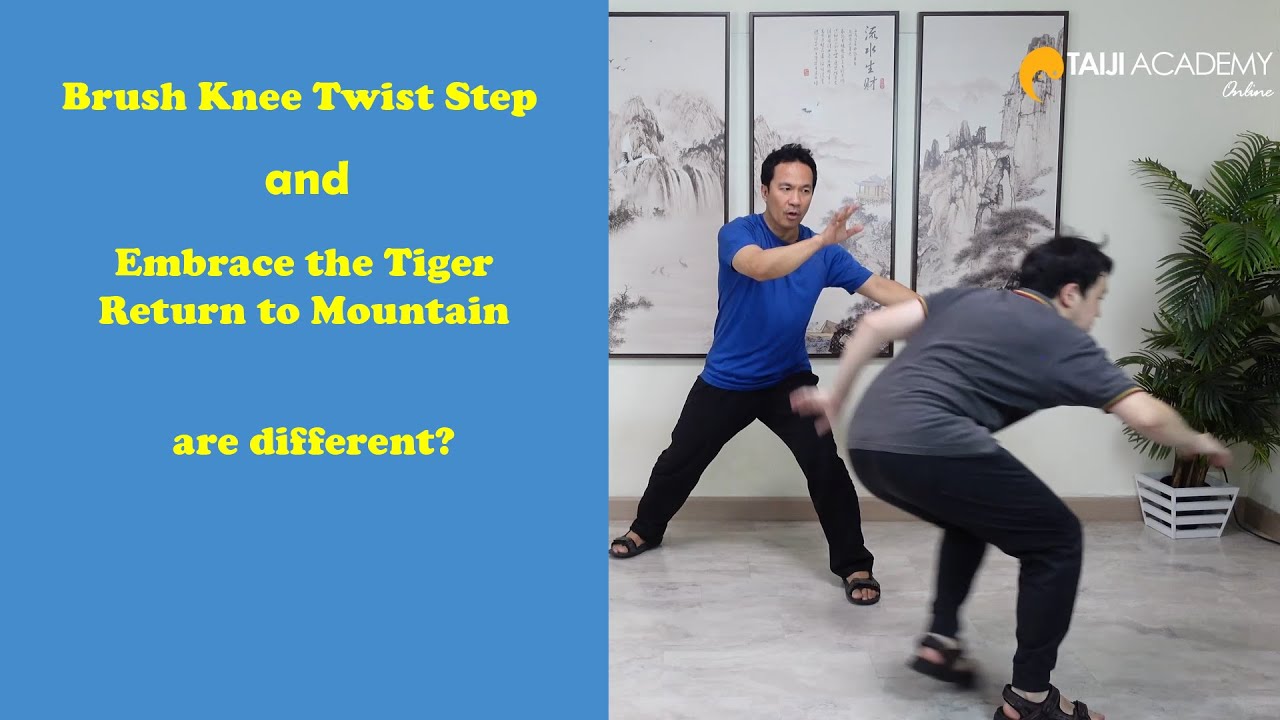 В чем разница между Brush Knee Twist Step и Embrace the Tiger Return to Mountain?