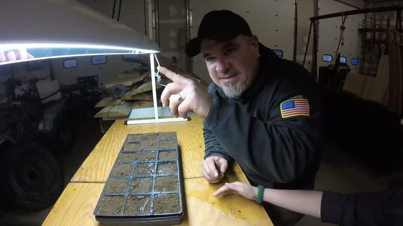Growing Hot Cherry Peppers From Seed