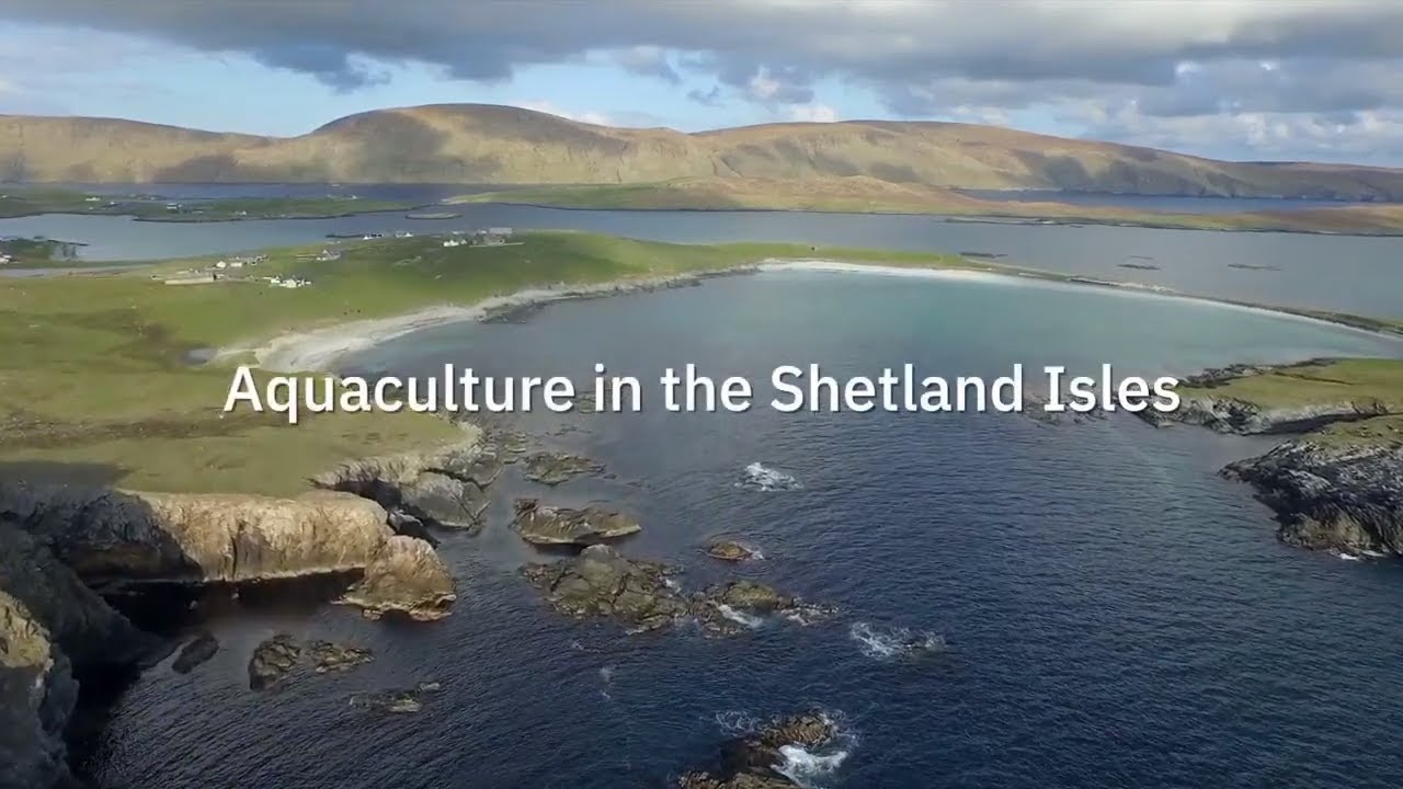 Aquaculture in the Shetland Isles