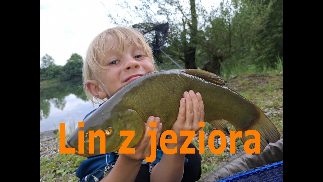 Lin z jeziora. teledysk--------------Niedziela 8.oo rano startujemy!!!!!