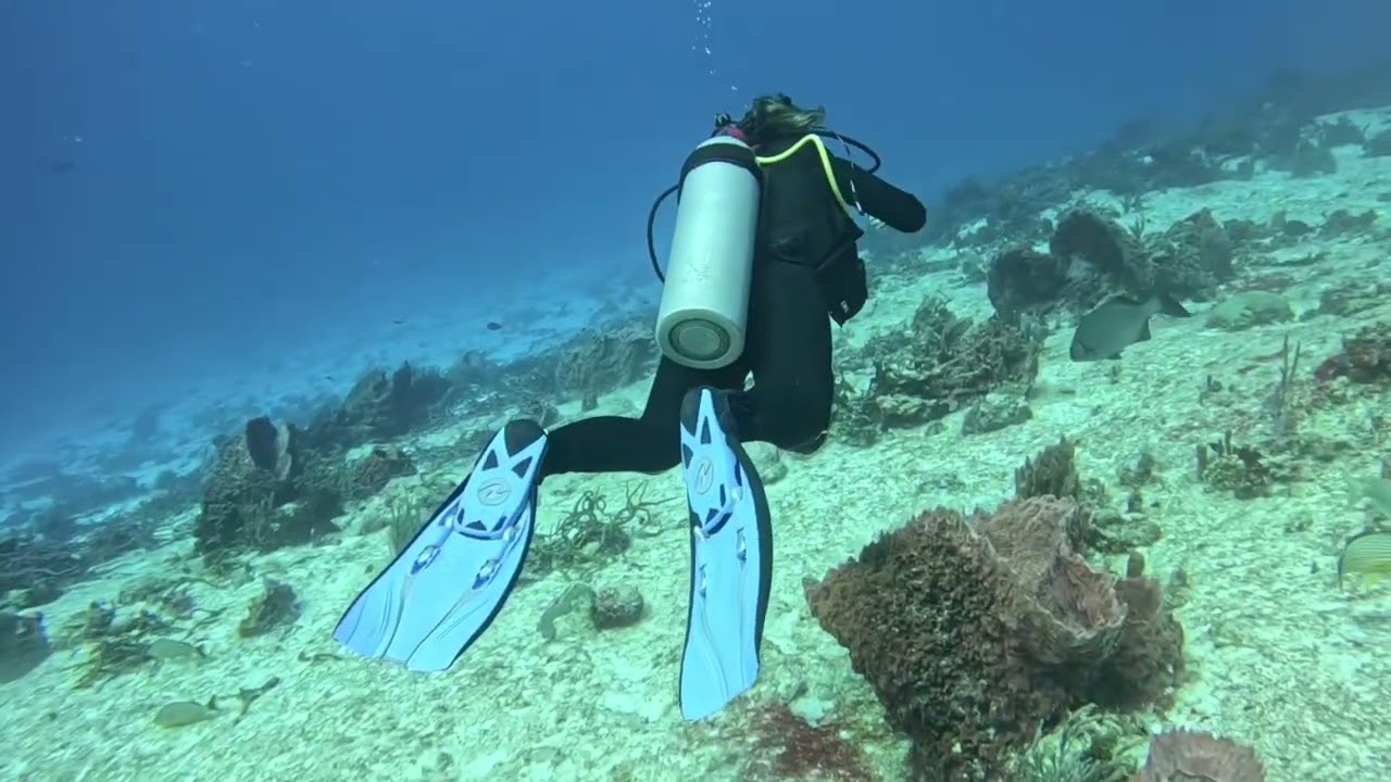 AOWD 4 drift dive - Cozumel Dec 2025 