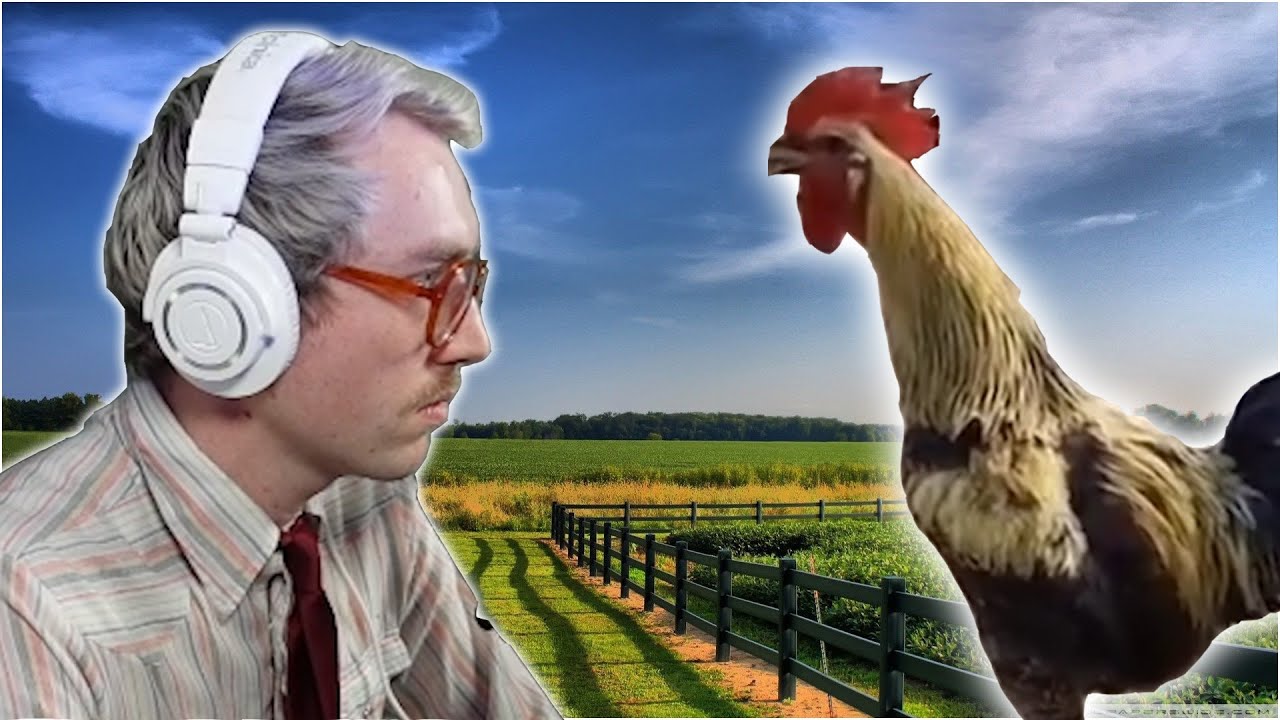 Man Vs. Rooster
