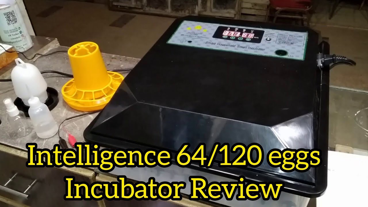64 and 120 eggs intelligent smart household small incubator Urdu/Hindi 