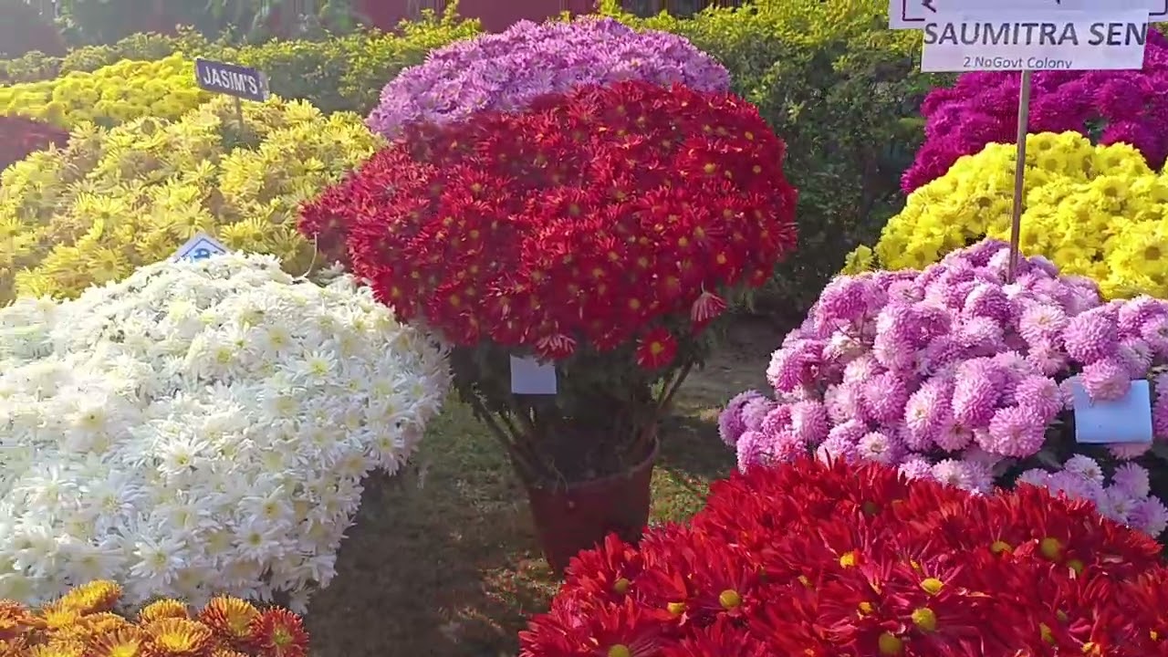 Flower Show In 2026 In Malda#flower show#2026 #malda 