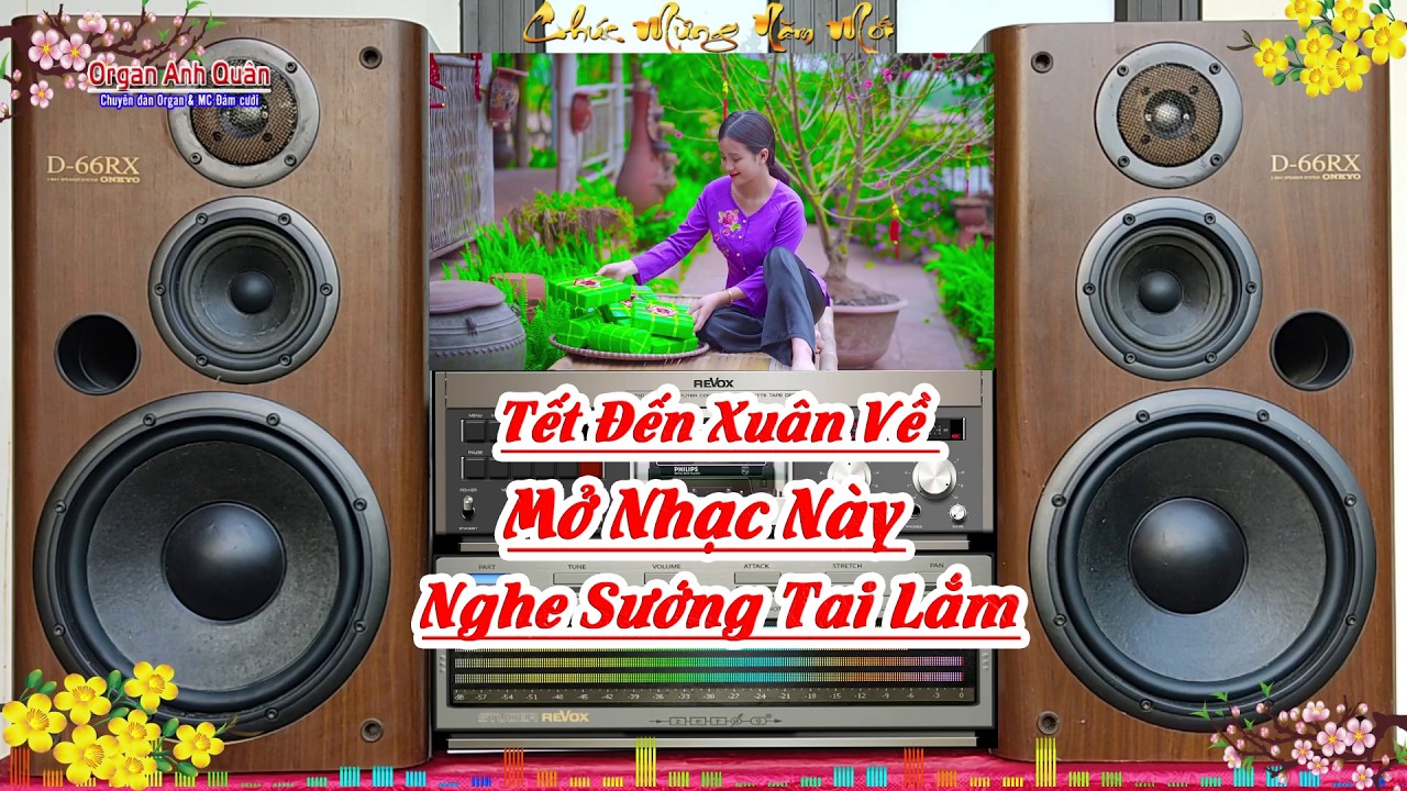 Tuyệt Phẩm Nhạc Bolero Không Lời - Nhạc Xuân 2026 Mở Nhạc Này Nghe Sướng Tai Lắm