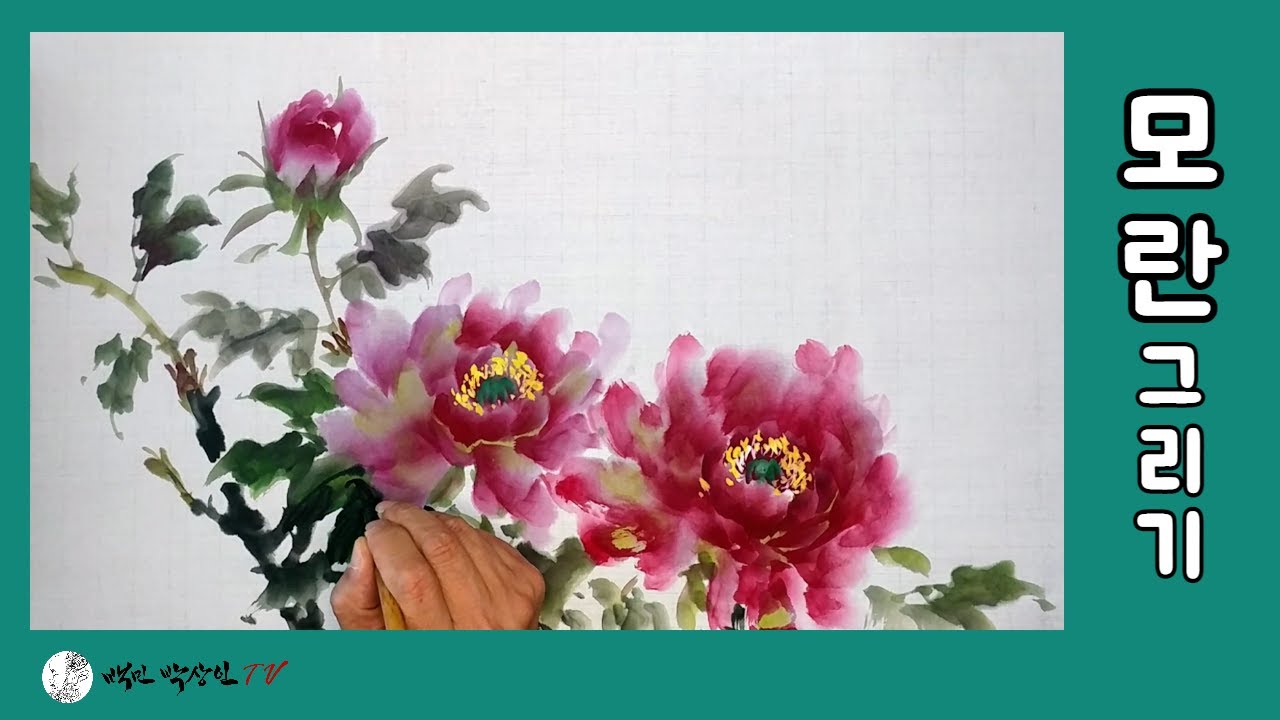 모란그리기