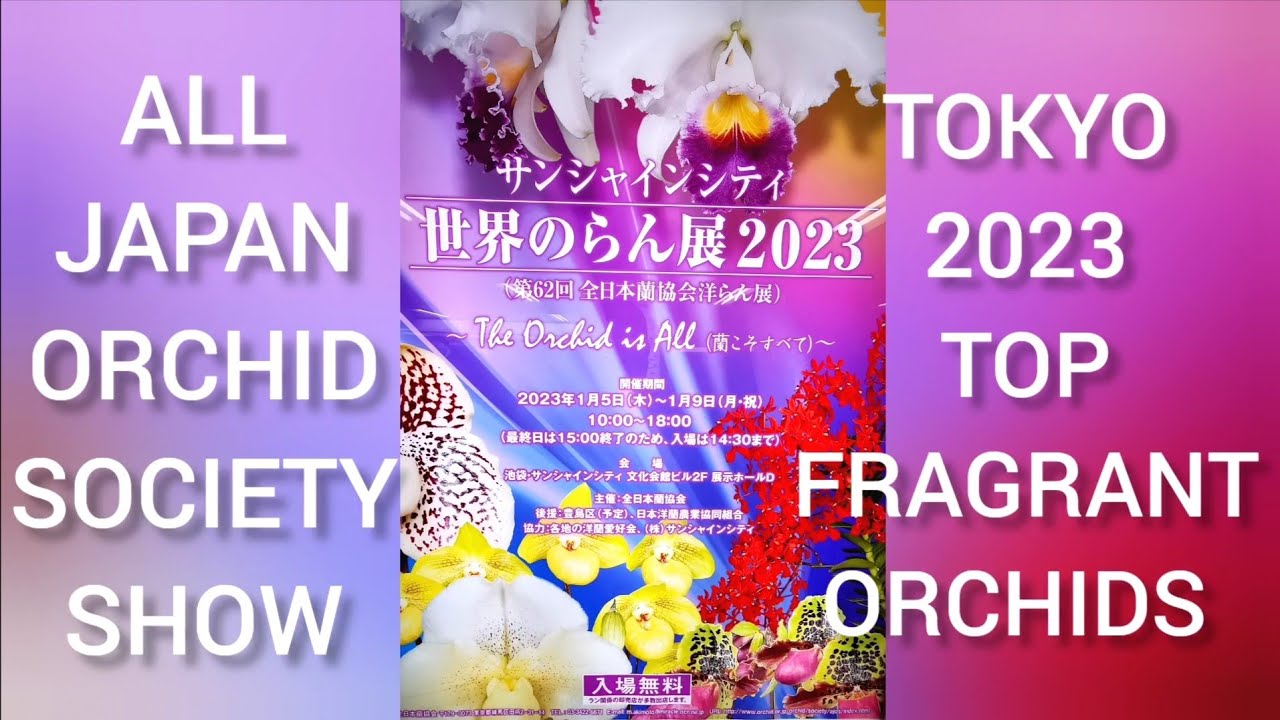 MOST FRAGRANT ORCHIDS🥇WINNERS at the All JAPAN Orchid Society Show TOKYO Ikebukuro January 2023