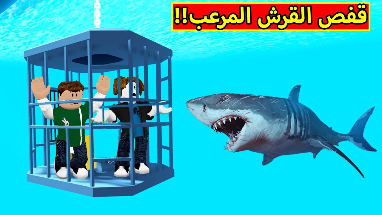 دحلنا قفص القرش المرعب فى لعبة roblox !! 🦈🔥