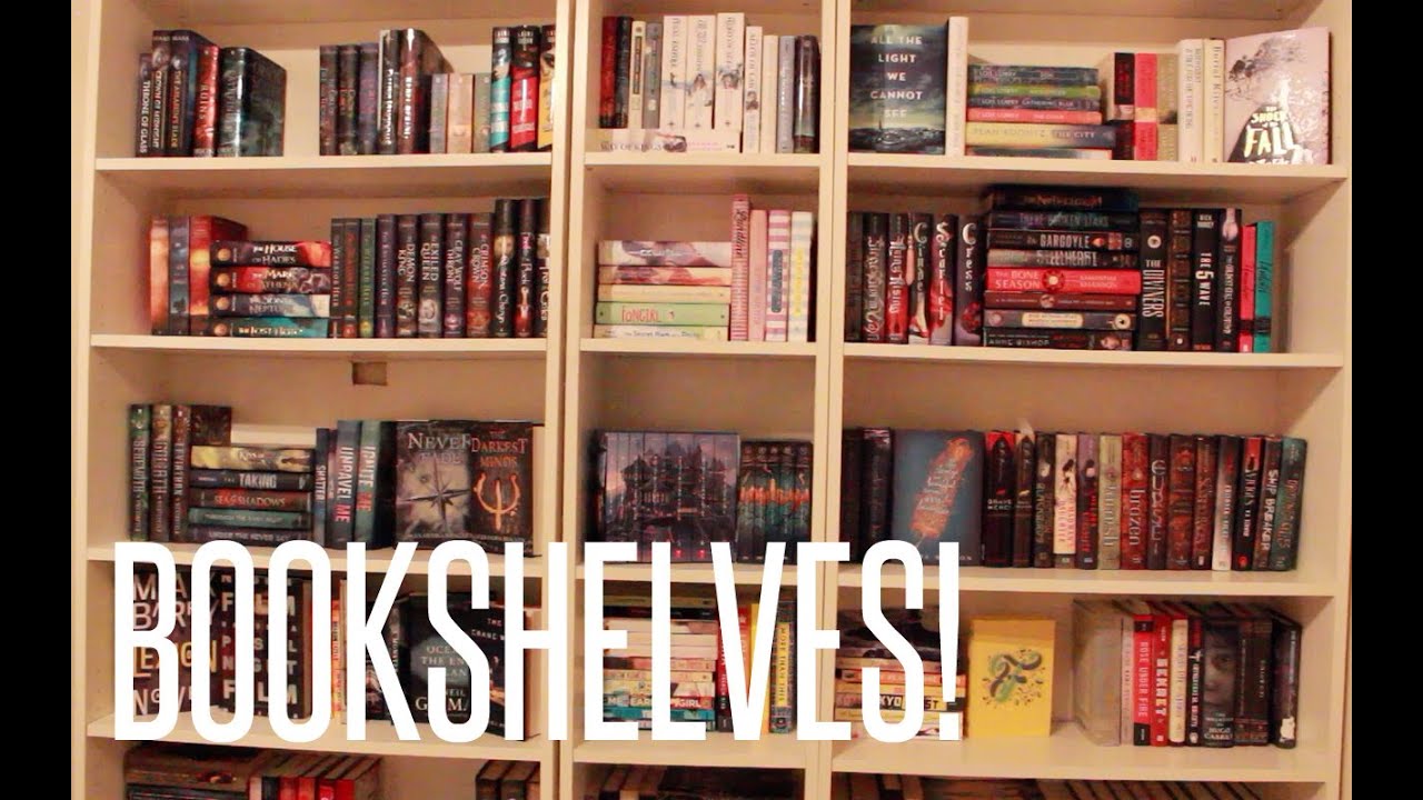 Arranging my New BOOKSHELVES!