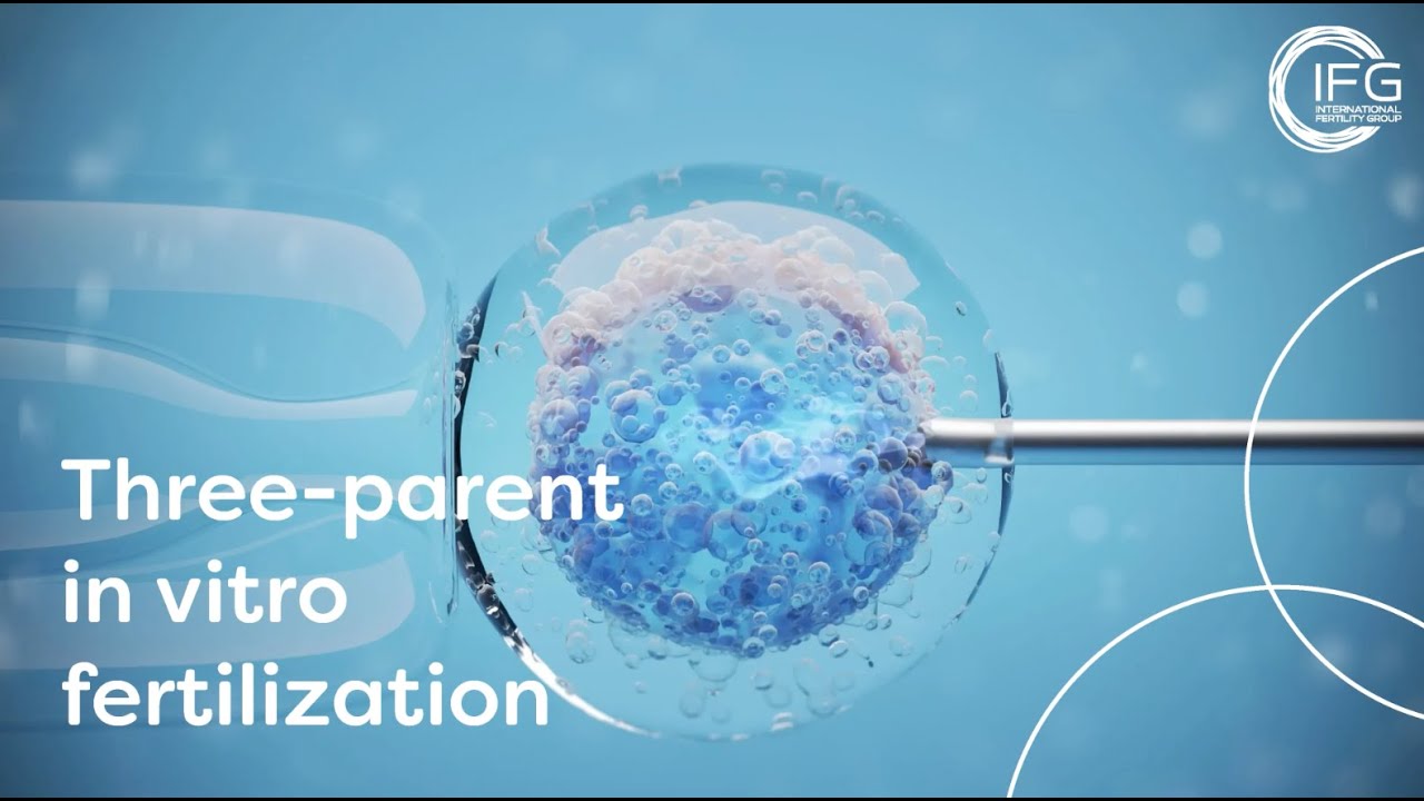 What is Three-Parent IVF? | International Fertility Group