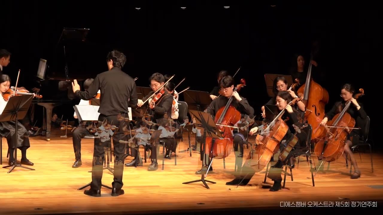 Mozart - Le Nozze di Figaro Overture  |  DS Chamber Orchestra