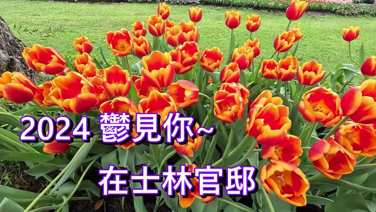 2024 在士林官邸和你相鬱