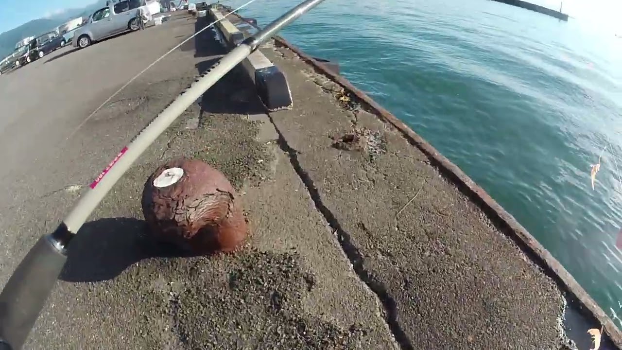 【カサゴ釣り】際釣り　江尻埠頭