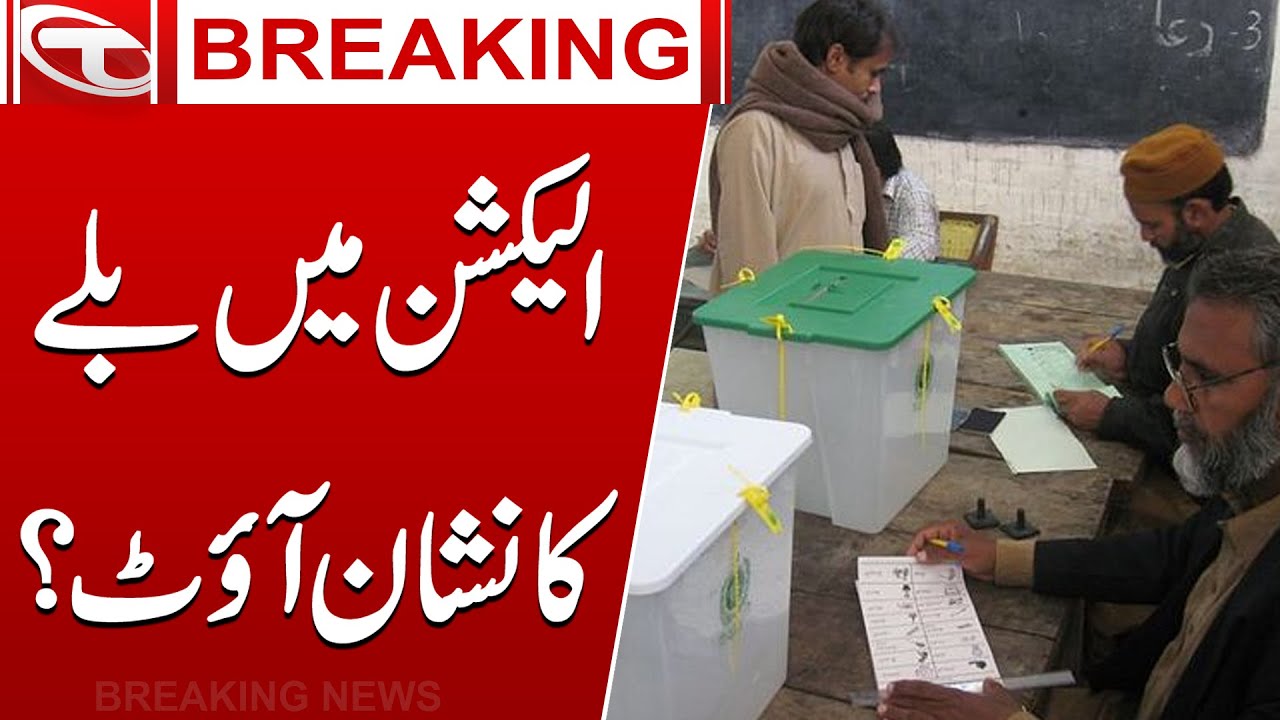Will There Be The PTI Bat Sign In Elections? | Election 2024 | Talon News