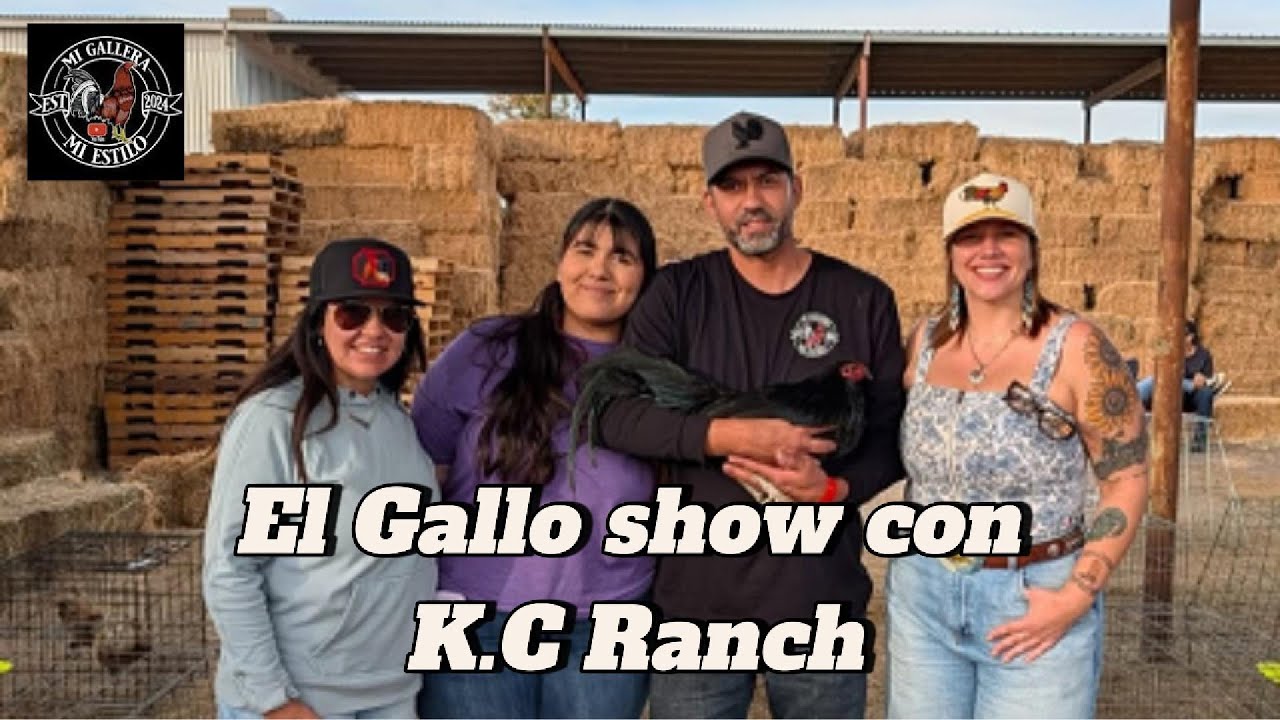 El Gallo show con K.C Ranch
