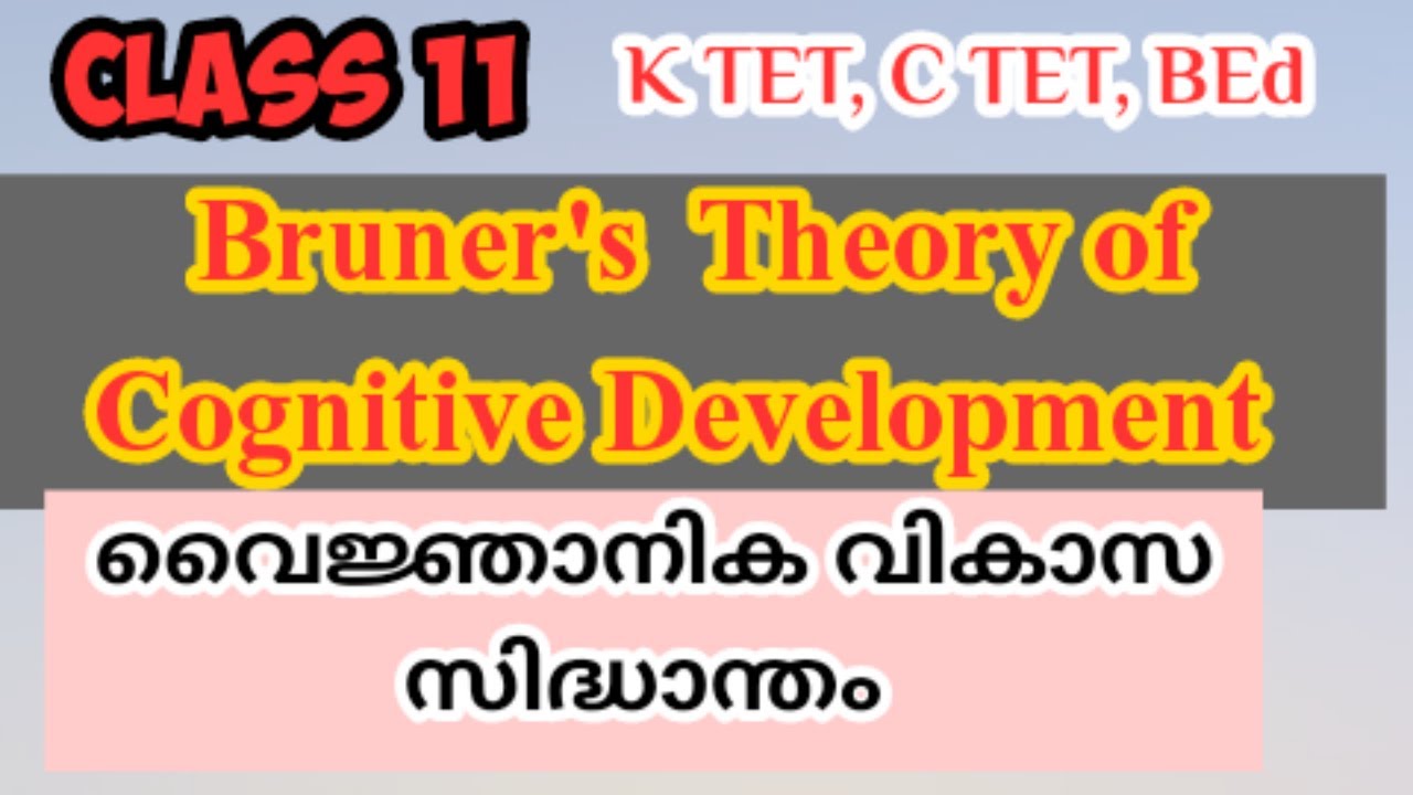 Cognitive Development Theory by Bruner |Discovery Learning | Spiral Curriculum