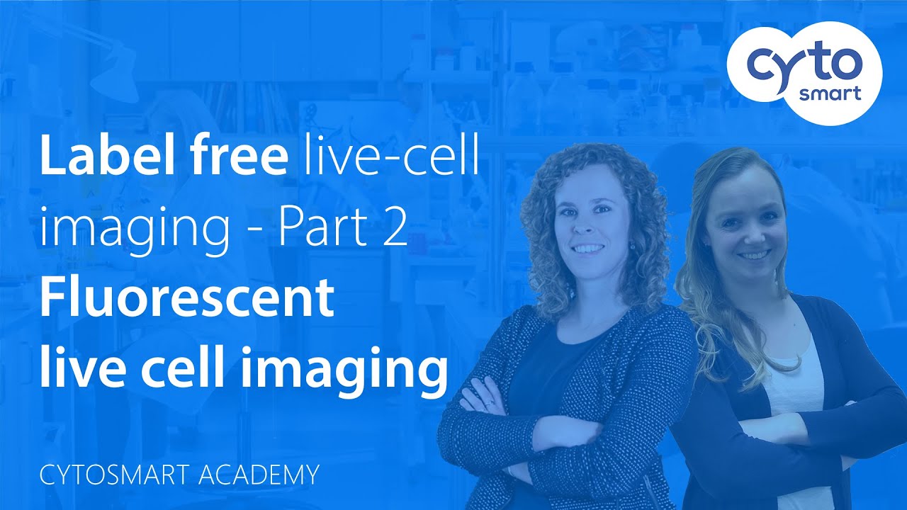 How does fluorescent live cell imaging work? - CytoSMART Academy