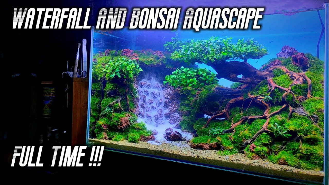 #97 Beautifull Waterfall And Bonsai Aquascape | Galeri Plantasia
