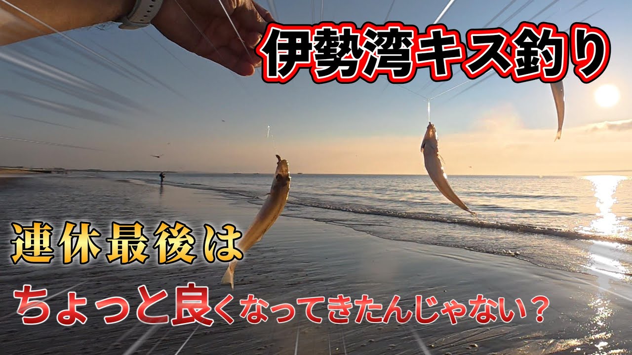 お盆休みも終盤、性懲りもなく津市の海岸でキス釣りしてますよ(笑)