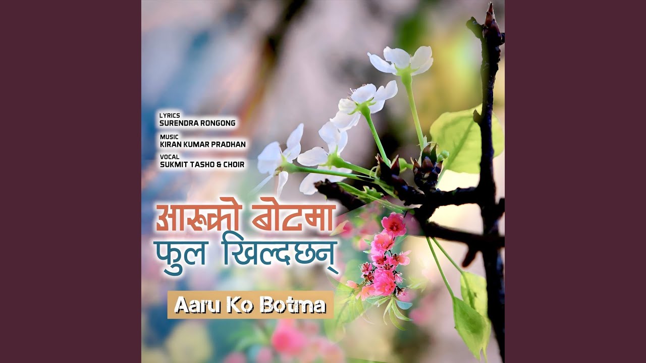 Aaru Ko Botma