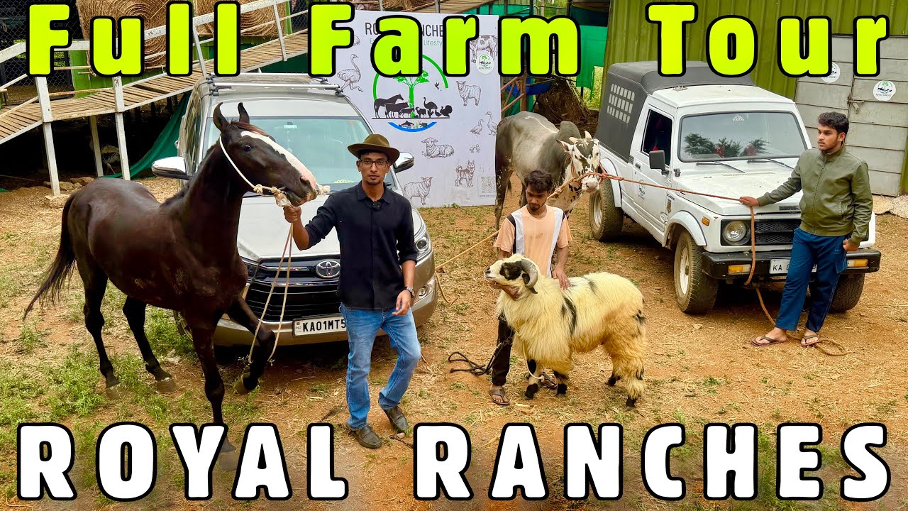 Royal Ranches Full Farm Tour & Macherla Sheep Breed Showcase