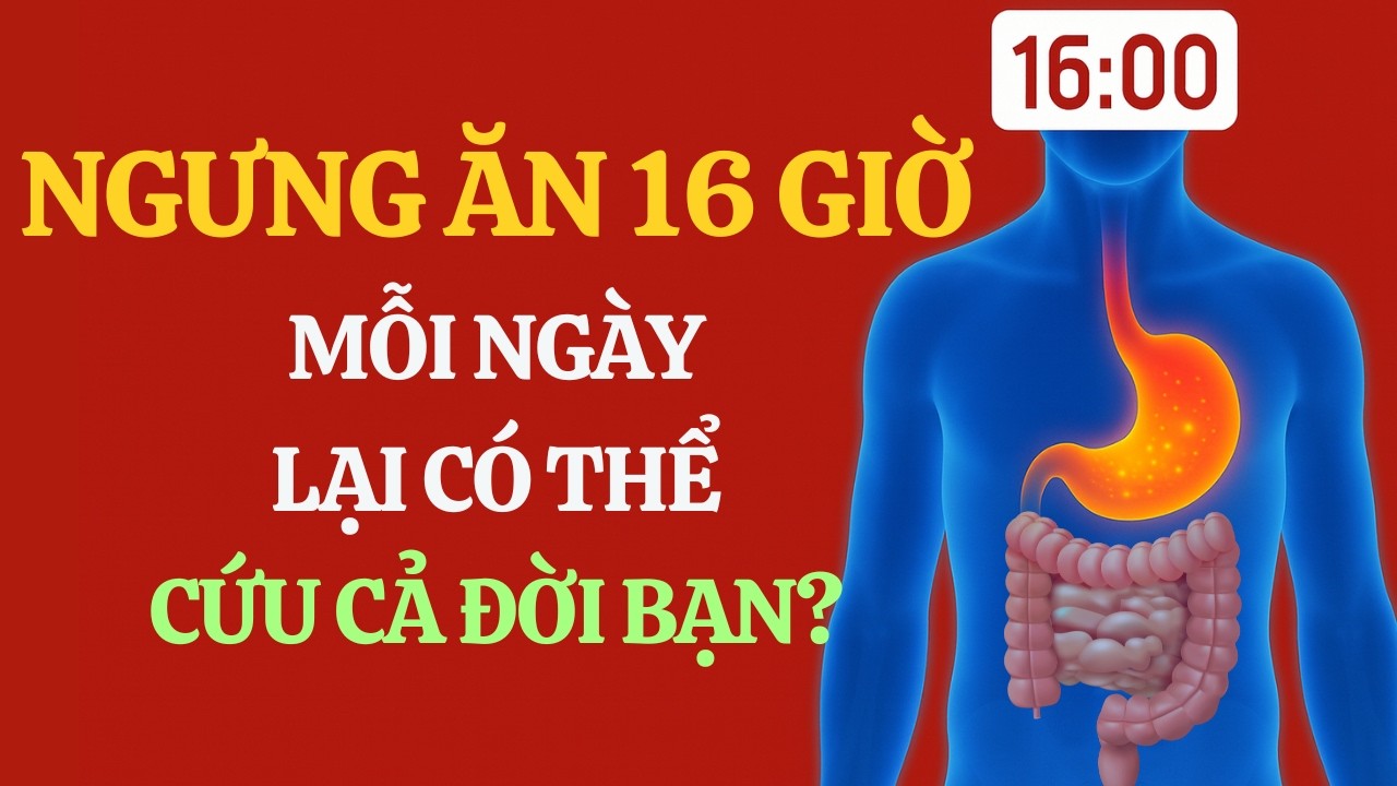 Khi Nhịn Đói Lại Là Cách Chữa Bệnh Kỳ Diệu Của Cơ Thể (Intermittent Fasting) | Bác Sĩ Mark Mattson