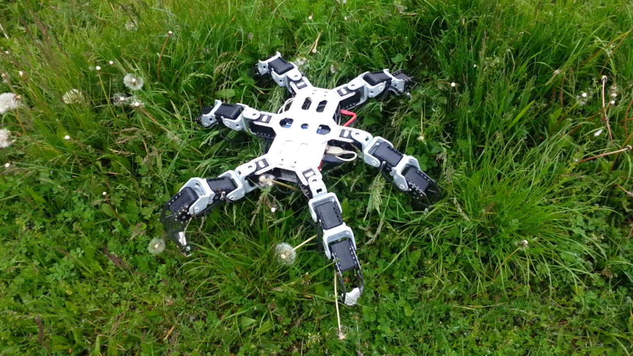 HexorV3 - test, ripple gait, high grass