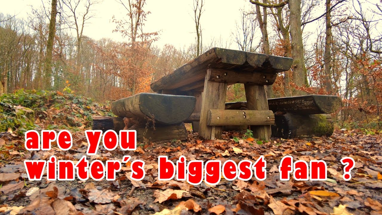 winter without snow, winter walking tour,  germany trip