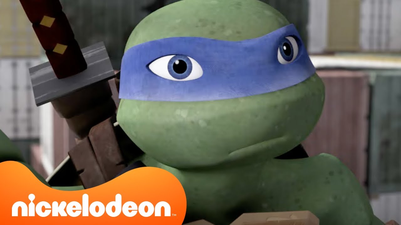 TMNT: Wojownicze Żółwie Ninja | 