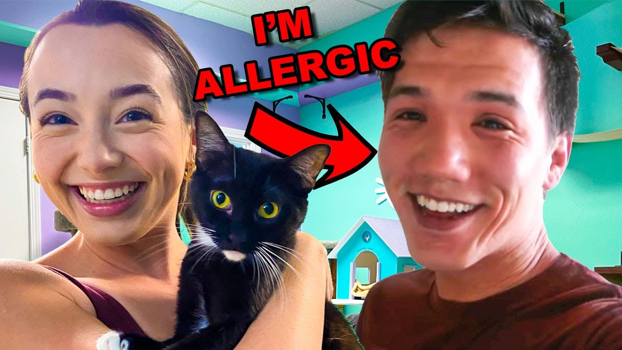 Surprising My Wife With A Cat