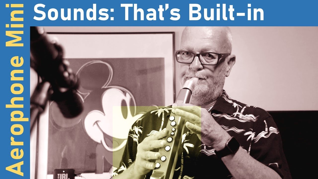 Exclusive Mini Series: The Roland Aerophone AE-01 Mini Sounds - Part 2