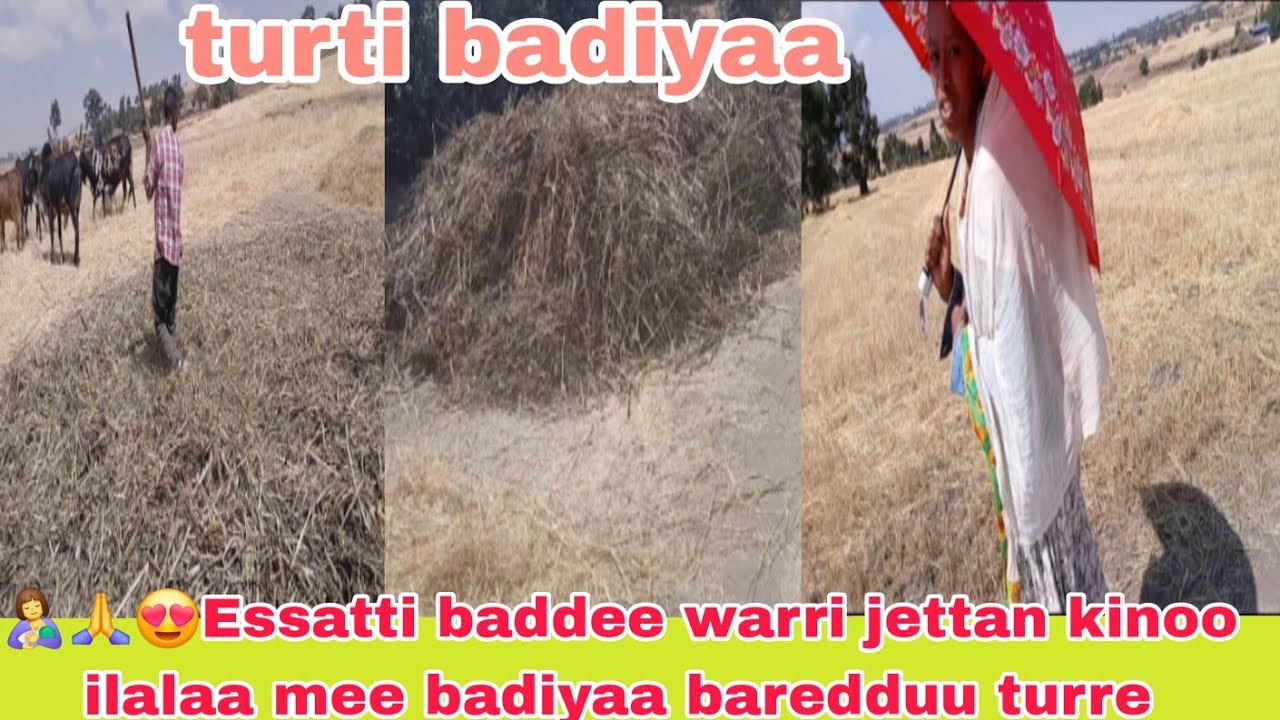 🤱🤳😍badiyaa demee waan na mudate essatti baddee warri jettan kinoo jira turtii badiyaa  🙏😱