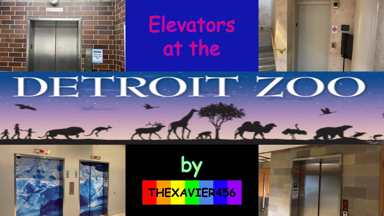 Elevators @ Detroit Zoo