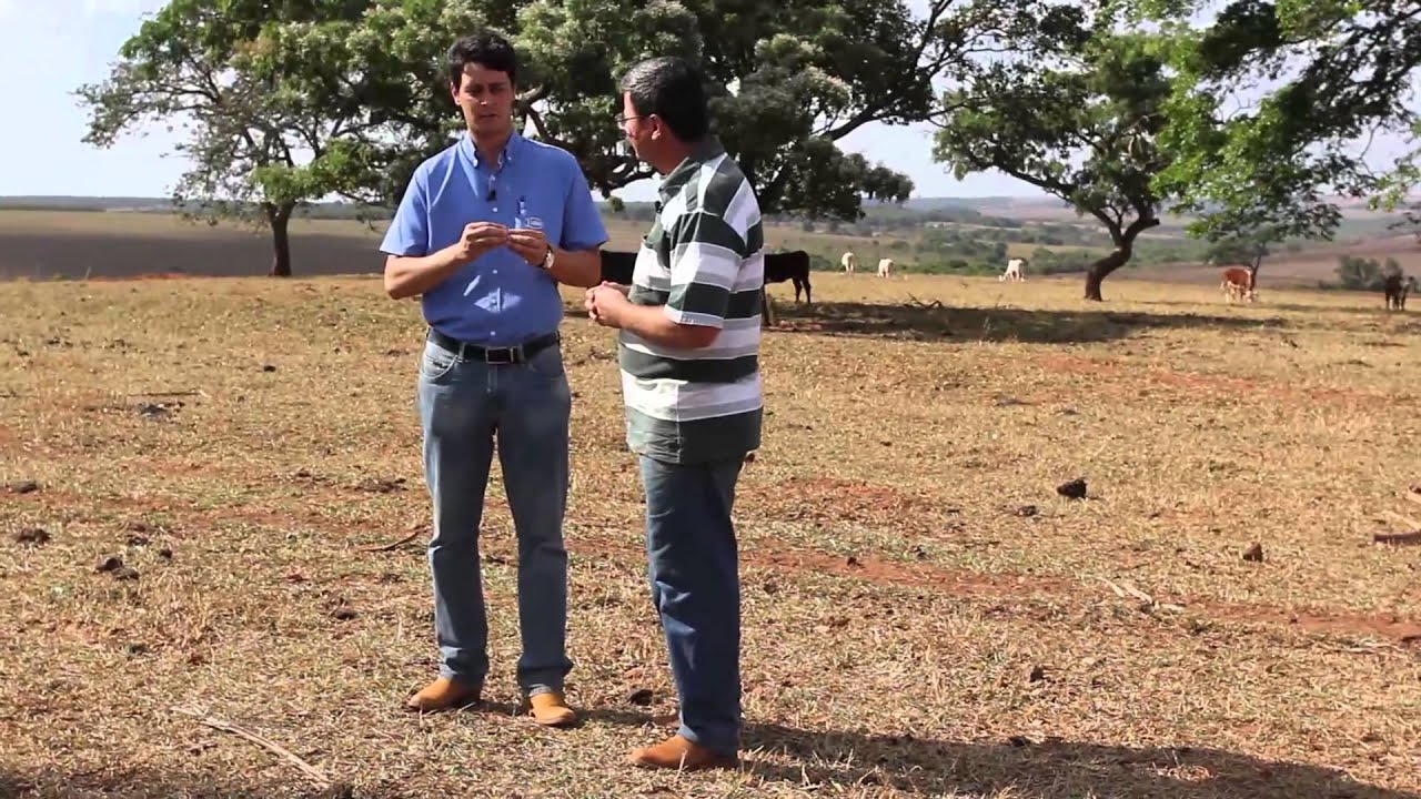 Times de Qualidade - Fazenda Querência