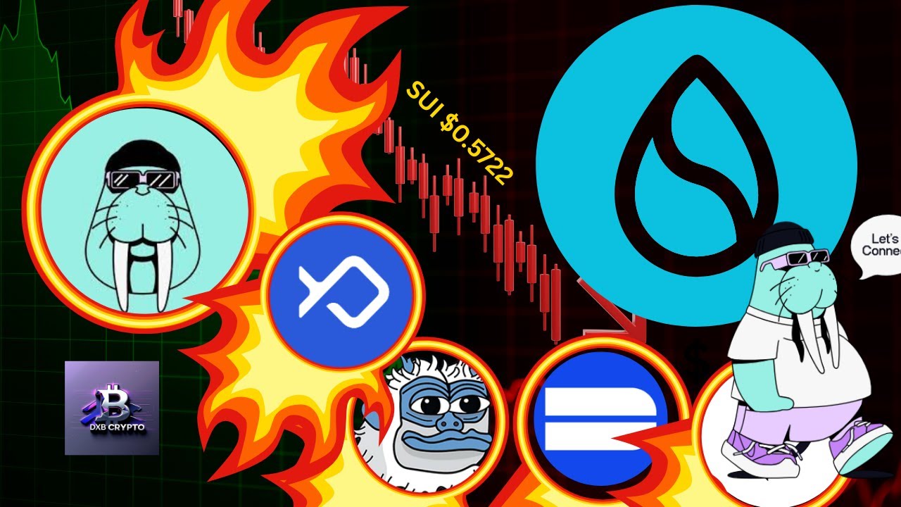 Why This SUI Crash Is Different | Ecosystem Analysis & Buys