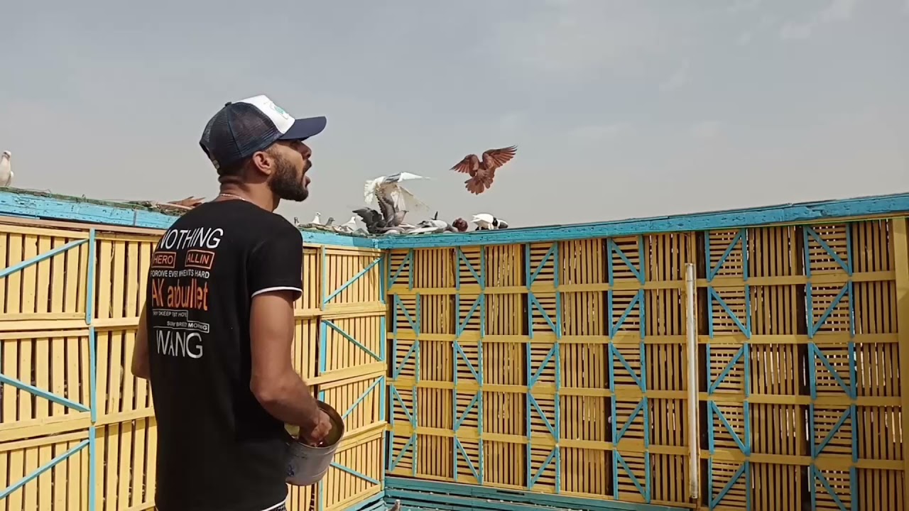 تربية الزغاليل صانعه#حسين_الخطيب
