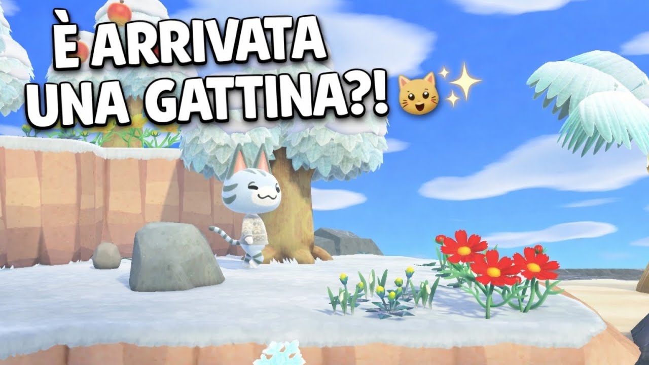 HO TROVATO UNA GATTINA ALLA 3ª ISOLA?! 🐱✨ | Animal Crossing
