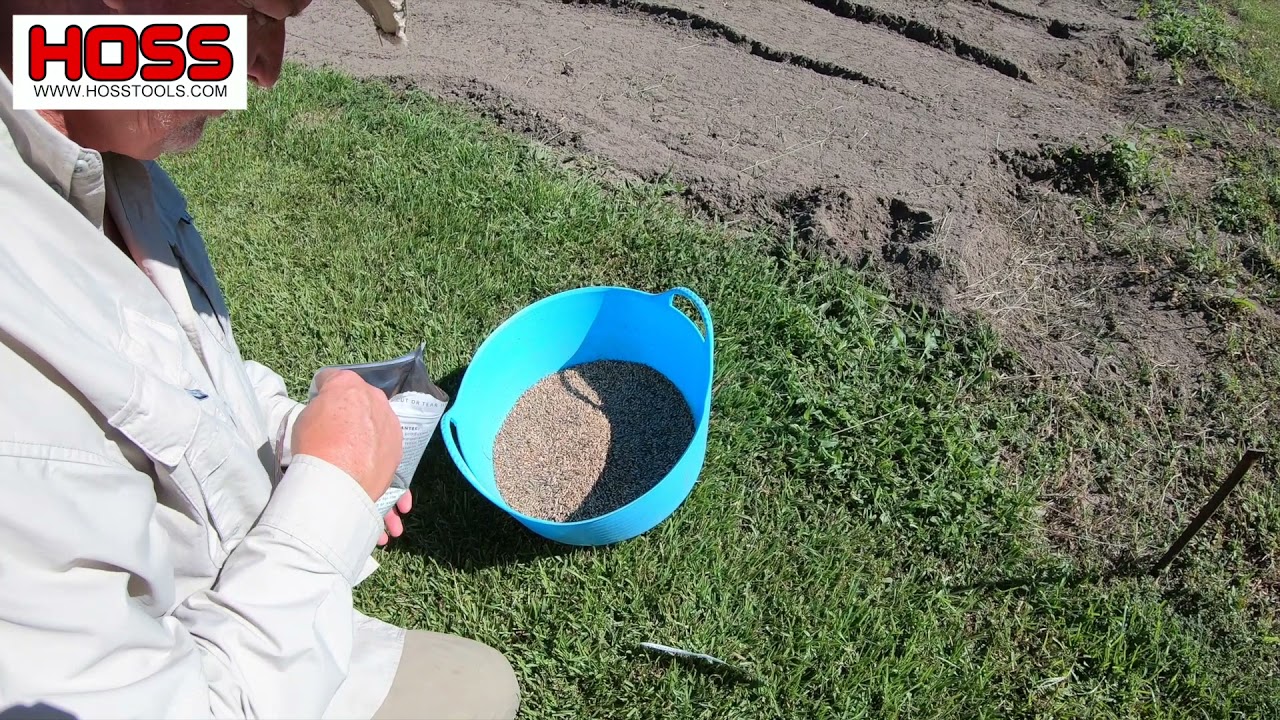 WHAT COVER CROPS TO PLANT FOR WINTER