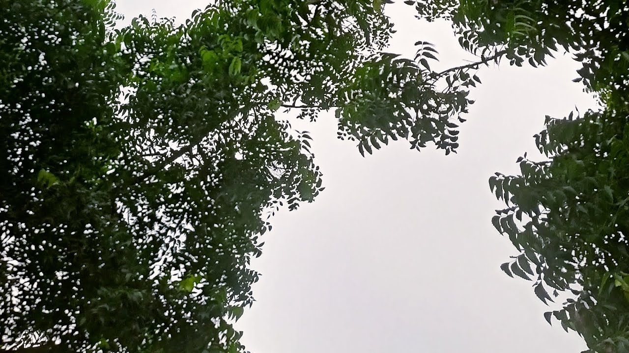 "College Wali Yaadein | Samose, Makeup & First Time Threading Experience 😅✨"